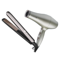 Hair Dryer & Styler